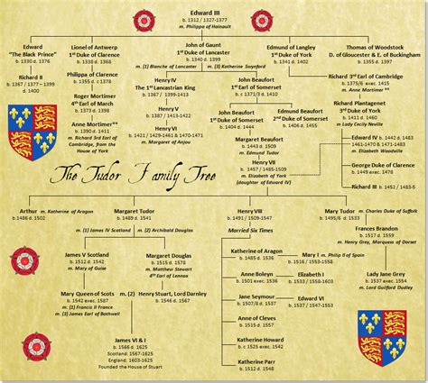 tudor black shield replica|tudor family tree.